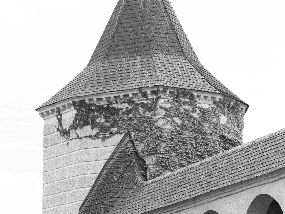 A Wedding postcard from a photographer to a&nbsp;friend